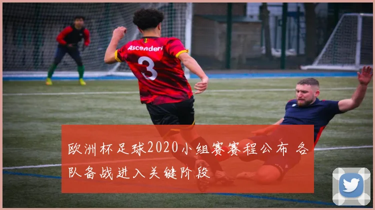 欧洲杯足球2020小组赛赛程公布 各队备战进入关键阶段